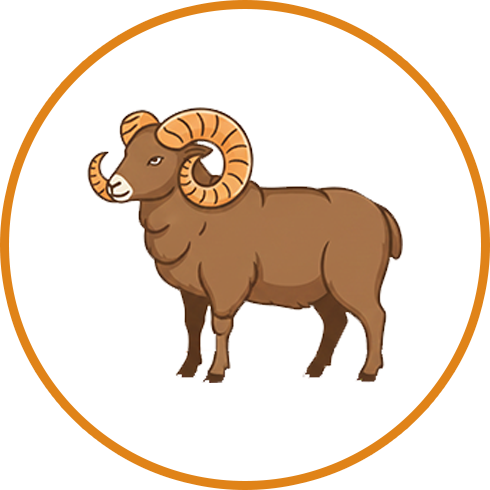 Ram  مینڈھا