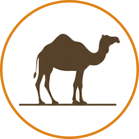 Camel اونٹ