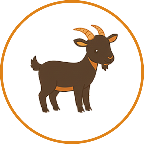 Goat بکرا