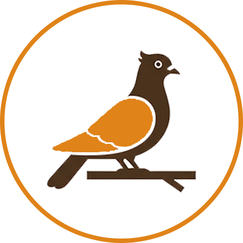 Pigeons