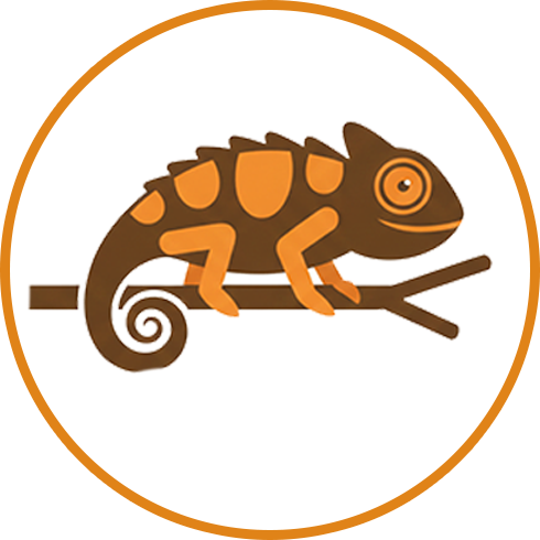 Reptiles