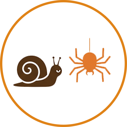 Invertebrates