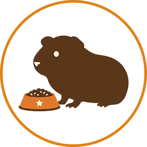 Rodents