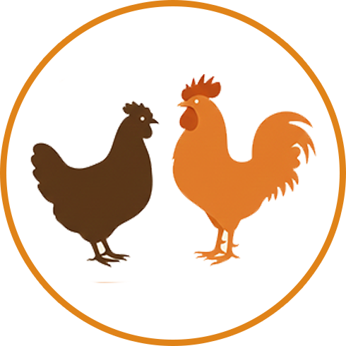 Poultry