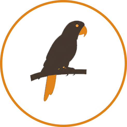 Parrots