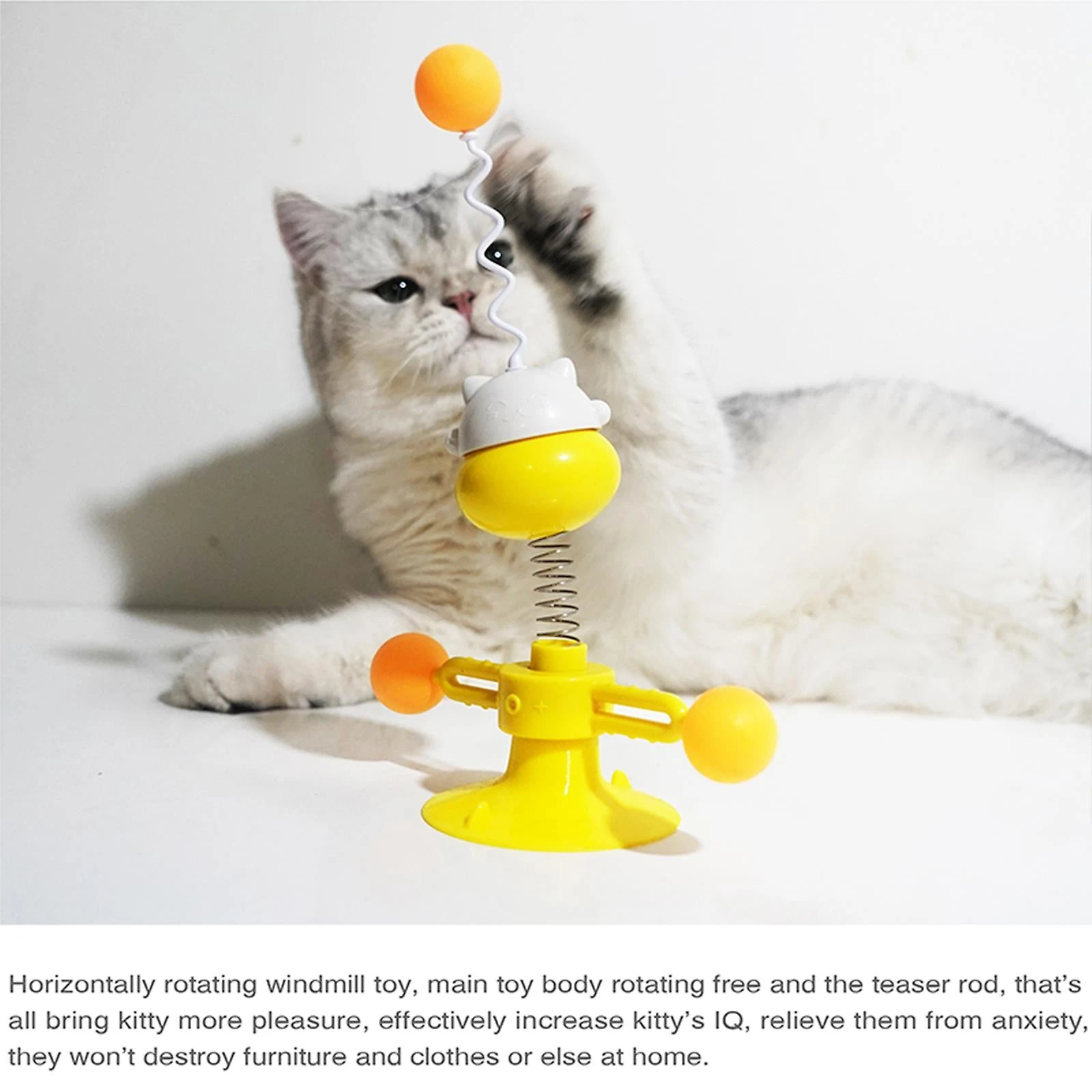 Cat Toys Cat Accessories for sale in Lahore