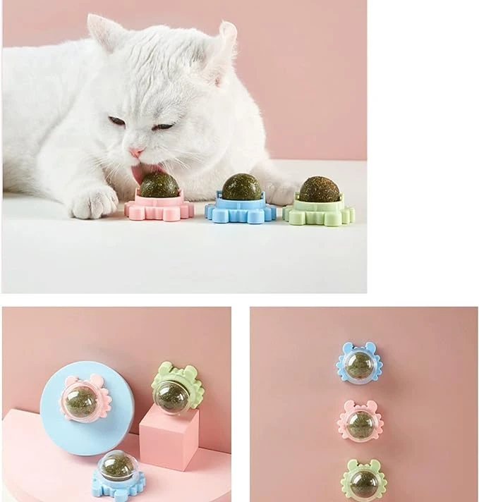 Cat Toys Cat Accessories for sale in Lahore