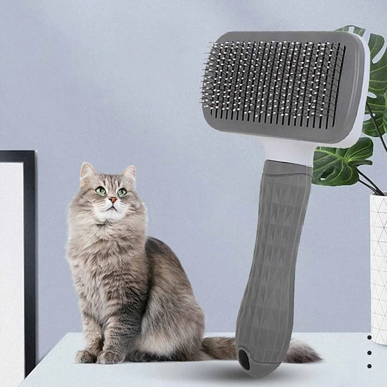 Brushes Cat Accessories for sale in Lahore