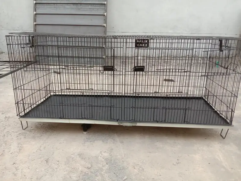 Poultry Cages Poultry Accessories for sale in Lahore