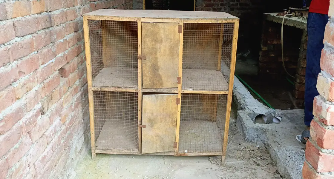 Poultry Cages Poultry Accessories for sale in Lahore