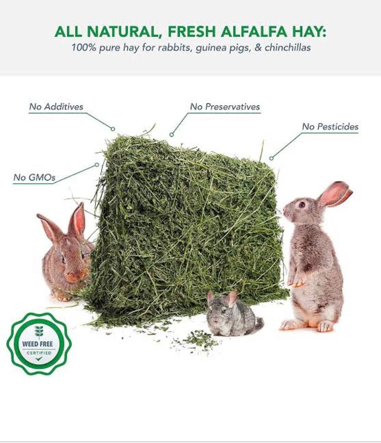 Alfalfa Hay Rabbits Food for sale in Lahore
