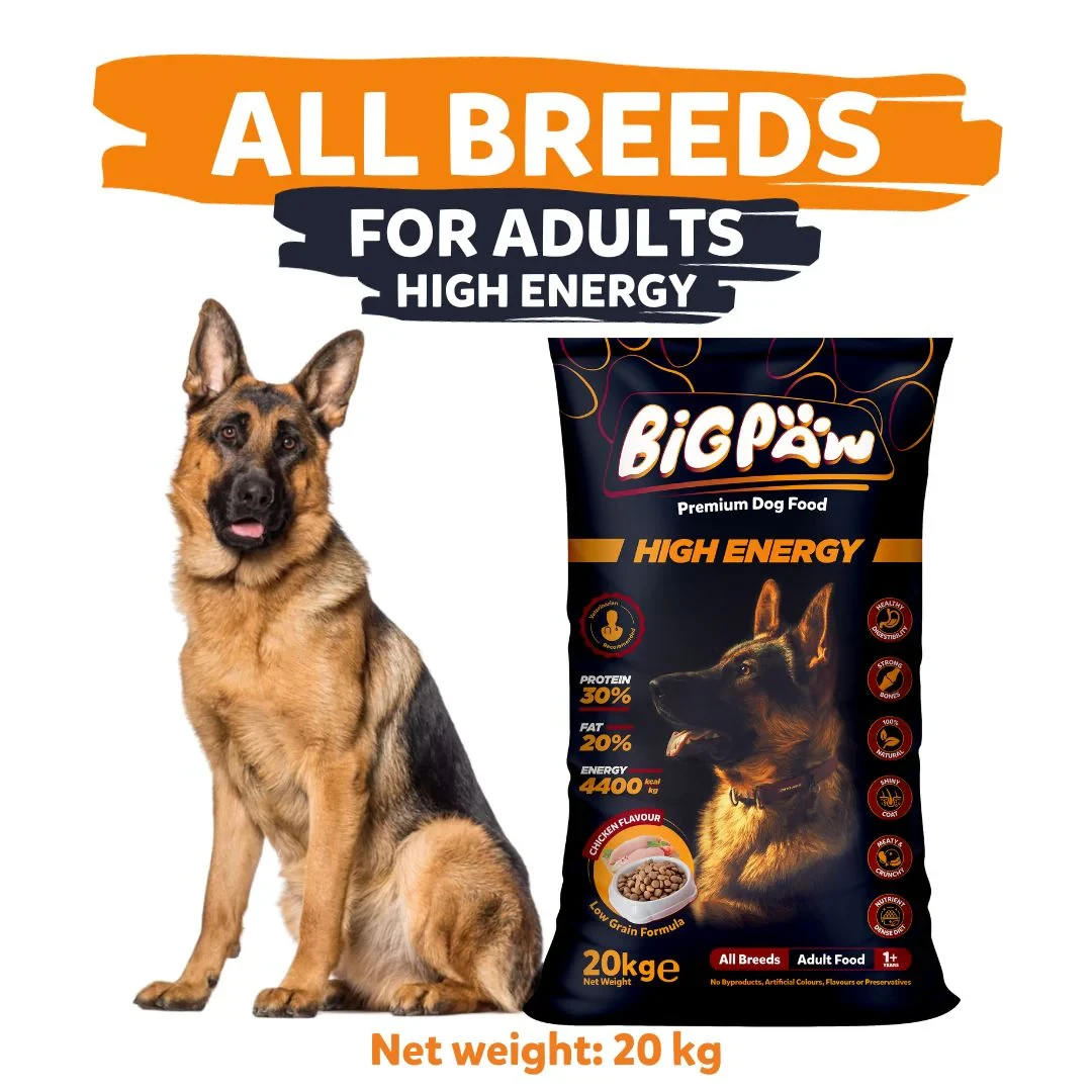 Premium Dry Food Dog Food for sale in Lahore