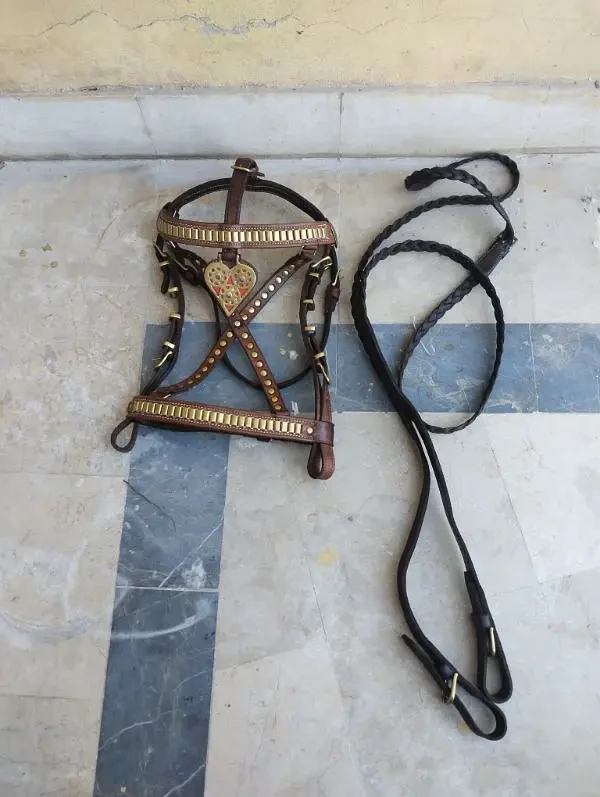 Bridles and Bits Horse Accessories for sale in Lahore
