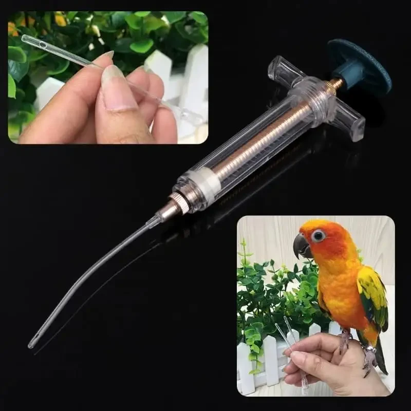 Others Parrot Accessories for sale in Lahore