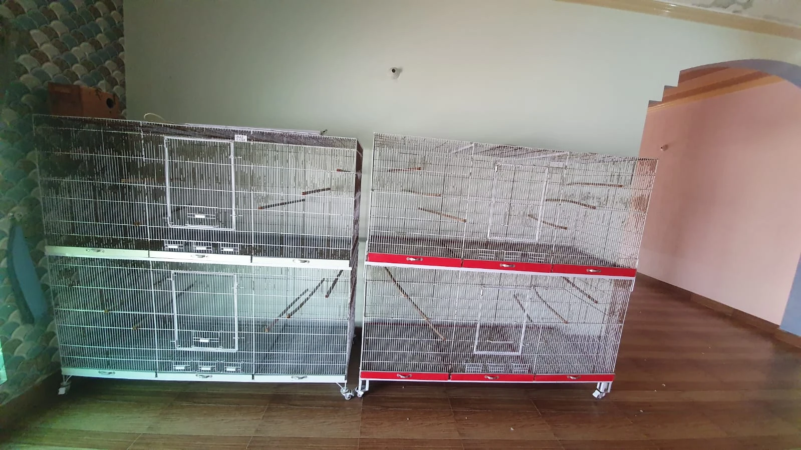 Parrots Cages Parrot Accessories for sale in Lahore