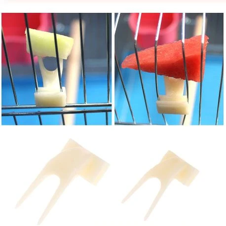 Others Parrot Accessories for sale in Lahore