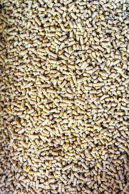 Pellets Poultry Food for sale in Sheikhupura