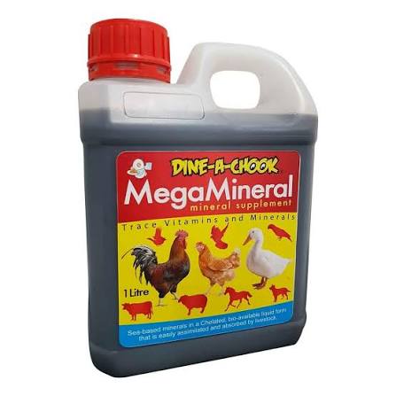 Vitamins And Minerals Poultry Food for sale in Jhelum