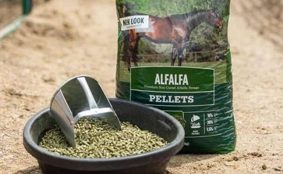 Alfalfa Horse Food for sale in Lahore