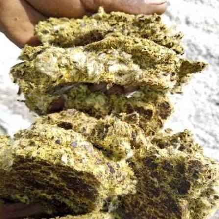 Cotton seed cake ( khal )