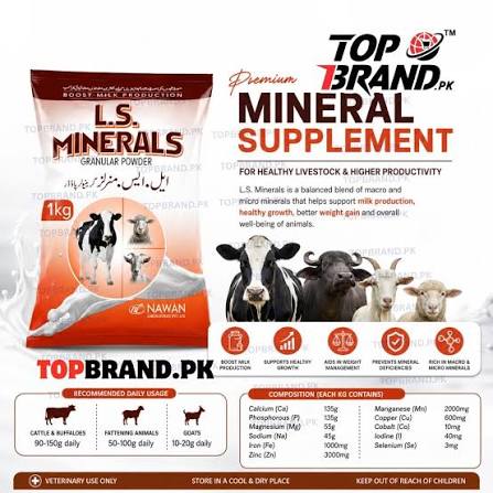 Mineral Supplements