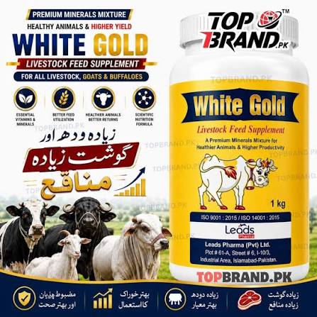 WHITE GOLD livestock supplements feed