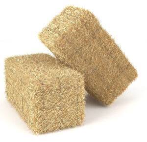 Wheat straw Gandum ka Bhoosa