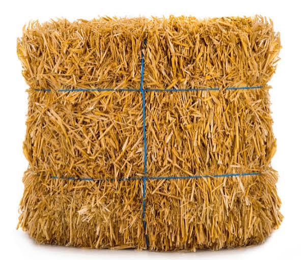 Wheat Straw Gandum Ka Bhoosa