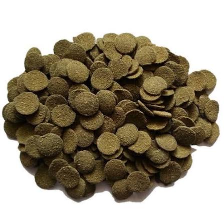 Algae Waffers Invertebrates food