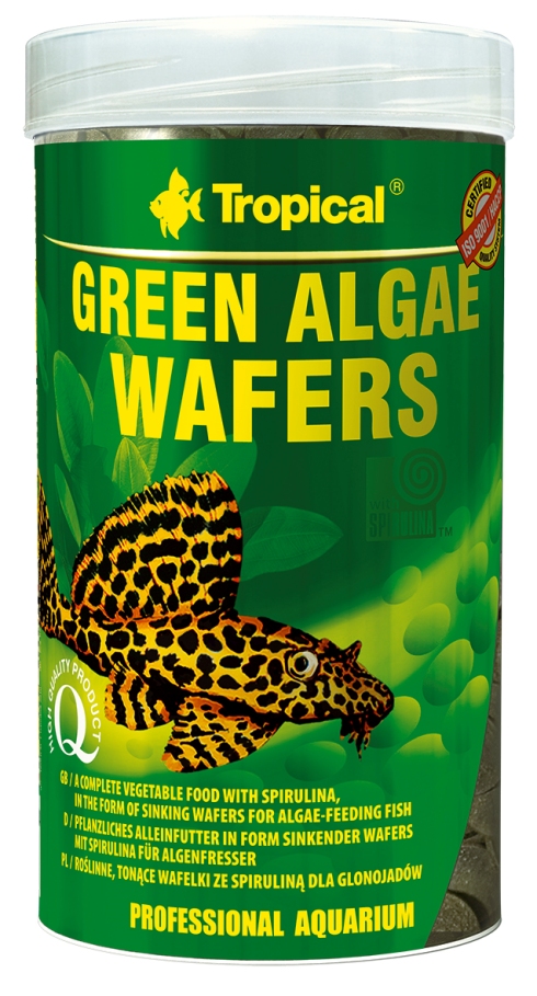 Green Algae Waffers