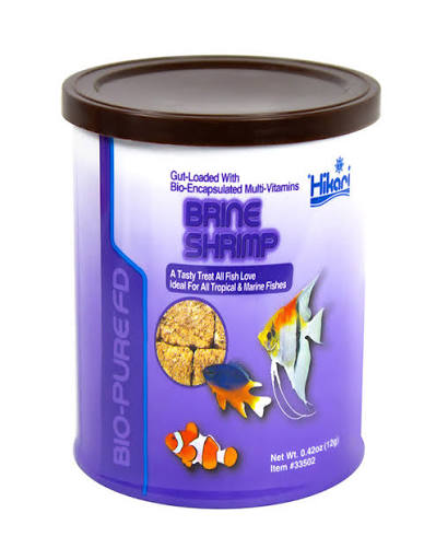 Frozen Brine Shrimp Food for Sale