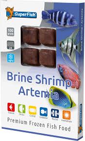 Brine Shrimp Artemia