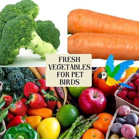 Fruits/ Vegetables Bird Food for sale in Islamabad