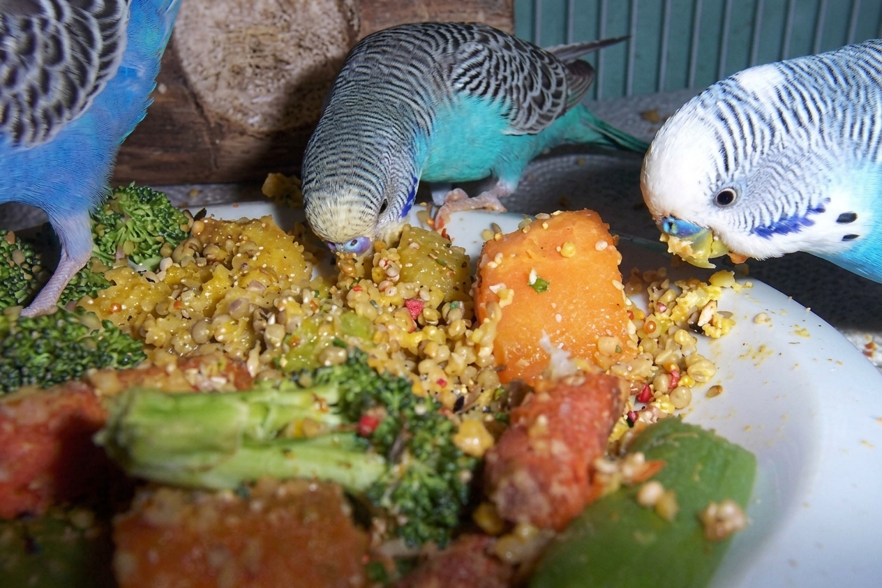 Fruits and Vegetables