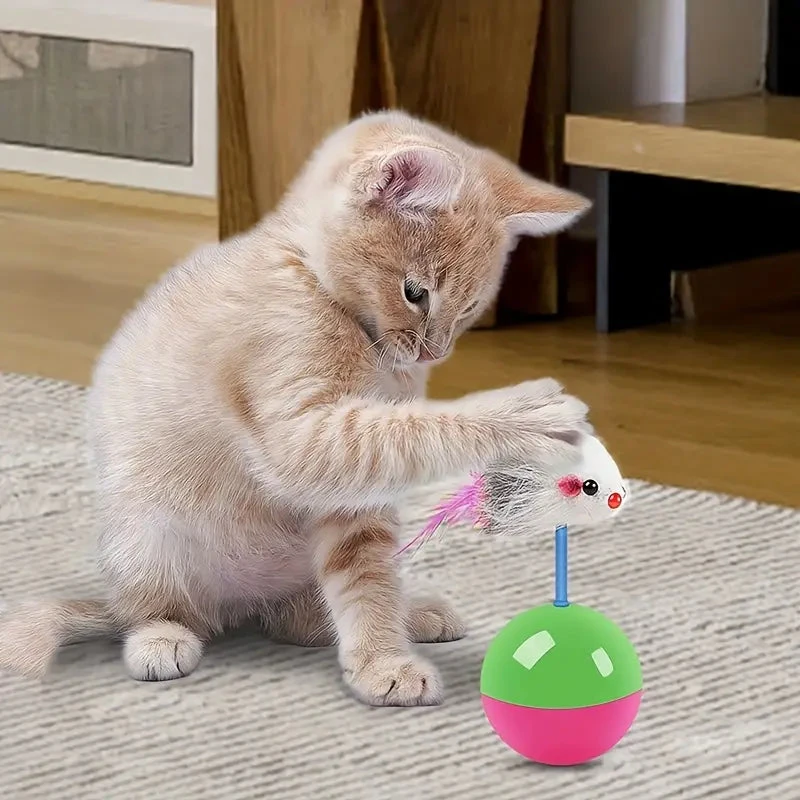 Cat Toy